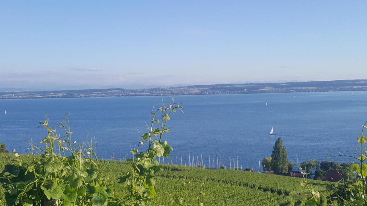 Studio Bodensee Daisendorf Luaran gambar